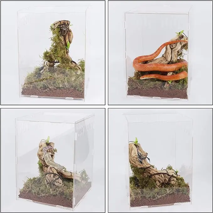 Magnetic Acrylic Reptile Cage Breeding Box Terrarium Tank Clear Feeding Habitat Scorpion Lizards transparent Acrylic Insect Box