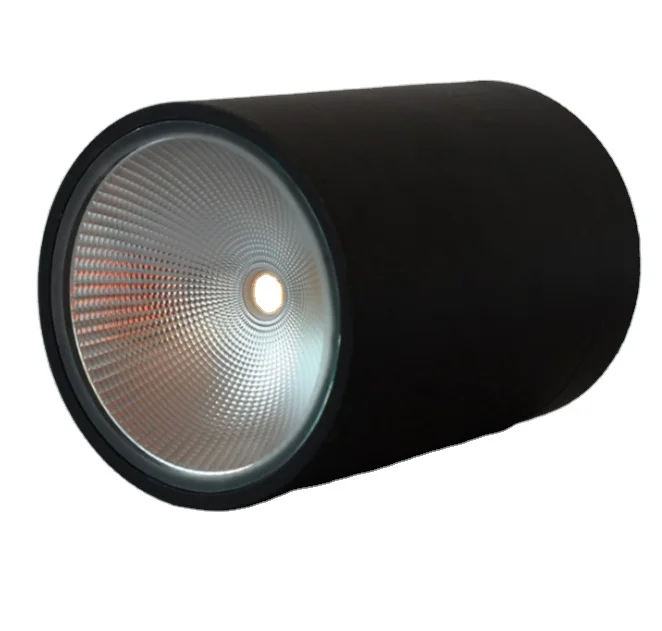 ip65 ceiling surface lamp 50w downlight for outdoor lighting