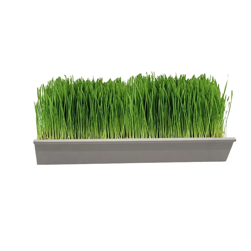 Hydroponics farm fodder hydroponic fodder trays system