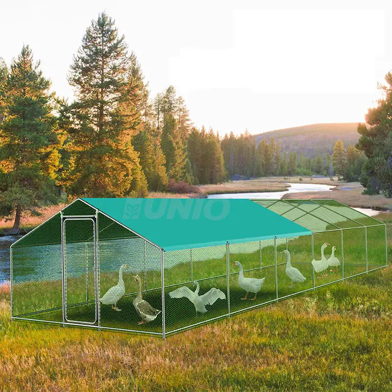 Very Durable 6M Home Use Small Design Chicken House Cage For 1000 Chickens Coop