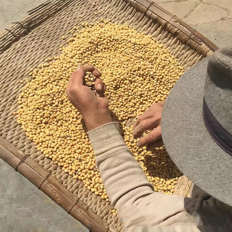 Cheap Hot Sale Soja Beans Top Quality Yellow Soya Bean Common Organic Yellow Beans
