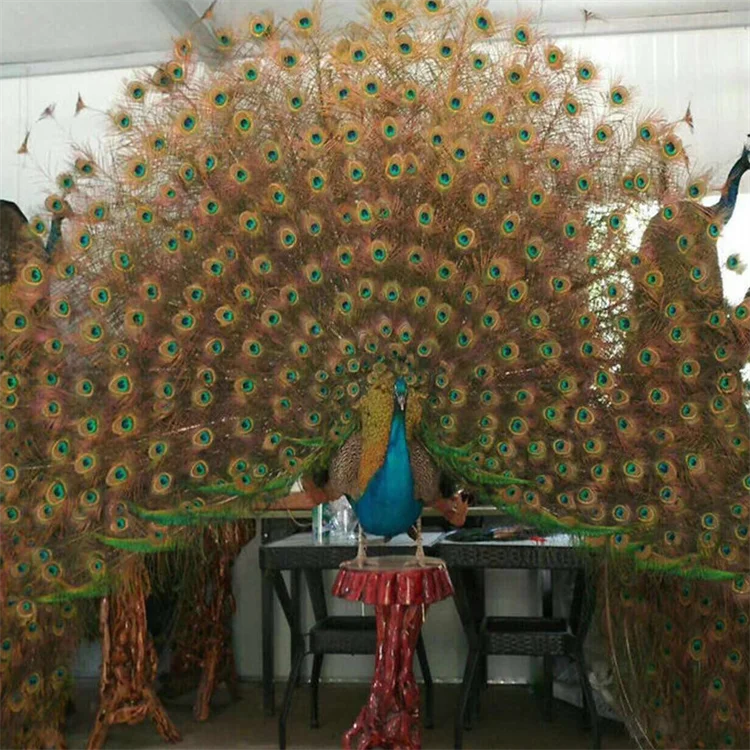 Custom made home decoration peacock decorative statue