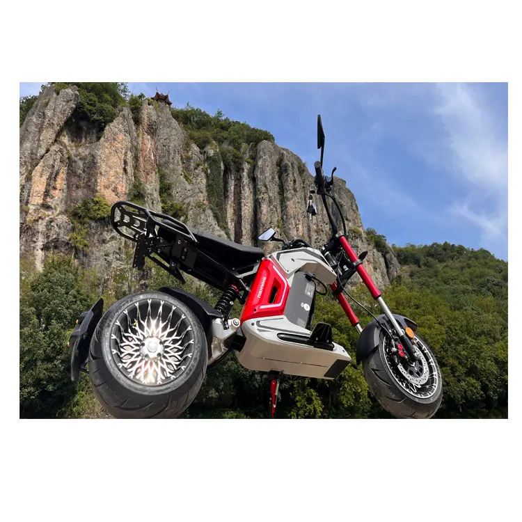 Jiulong 2024 Good Selling Products Electric Motorcycles Motorbike Racing Motorcycle For Mountain Ride/Sandbeach/Vacation By Sea