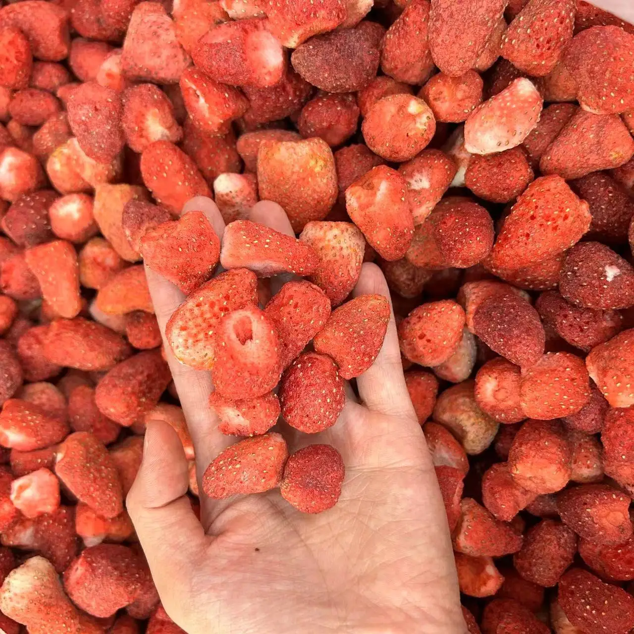 Customized Wholesale Sweet Snack Frozen Strawberry Fruit Bulk Fd Fruit Dried Whole Strawberry