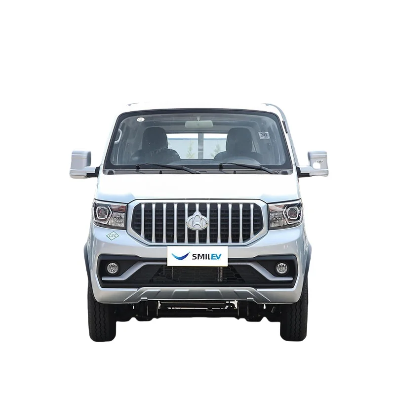 CHANGAN SHENQI T30 CNG Single Row 3.3m Standard Cheap Chinese Mini Truck Sales