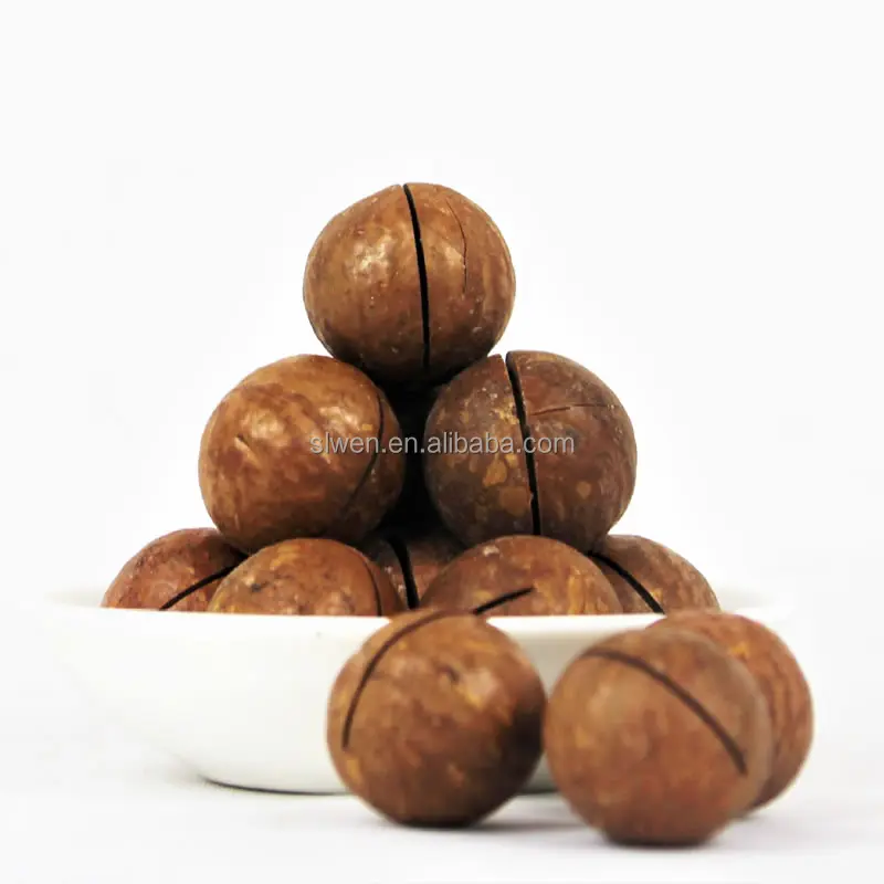 Macadamia Nuts Raw Organic Chinese Bags TOP Shell raw roasted macadamia nut kernel for food consumption macadamia nuts
