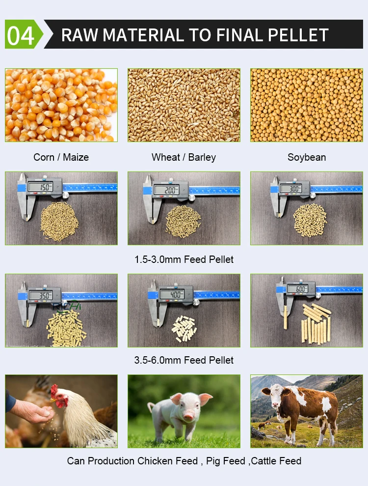 animal feed plant (4).jpg