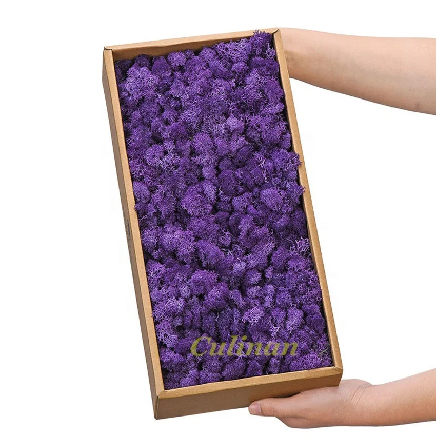 High quality China natural moss wall eternal dried preserved moss