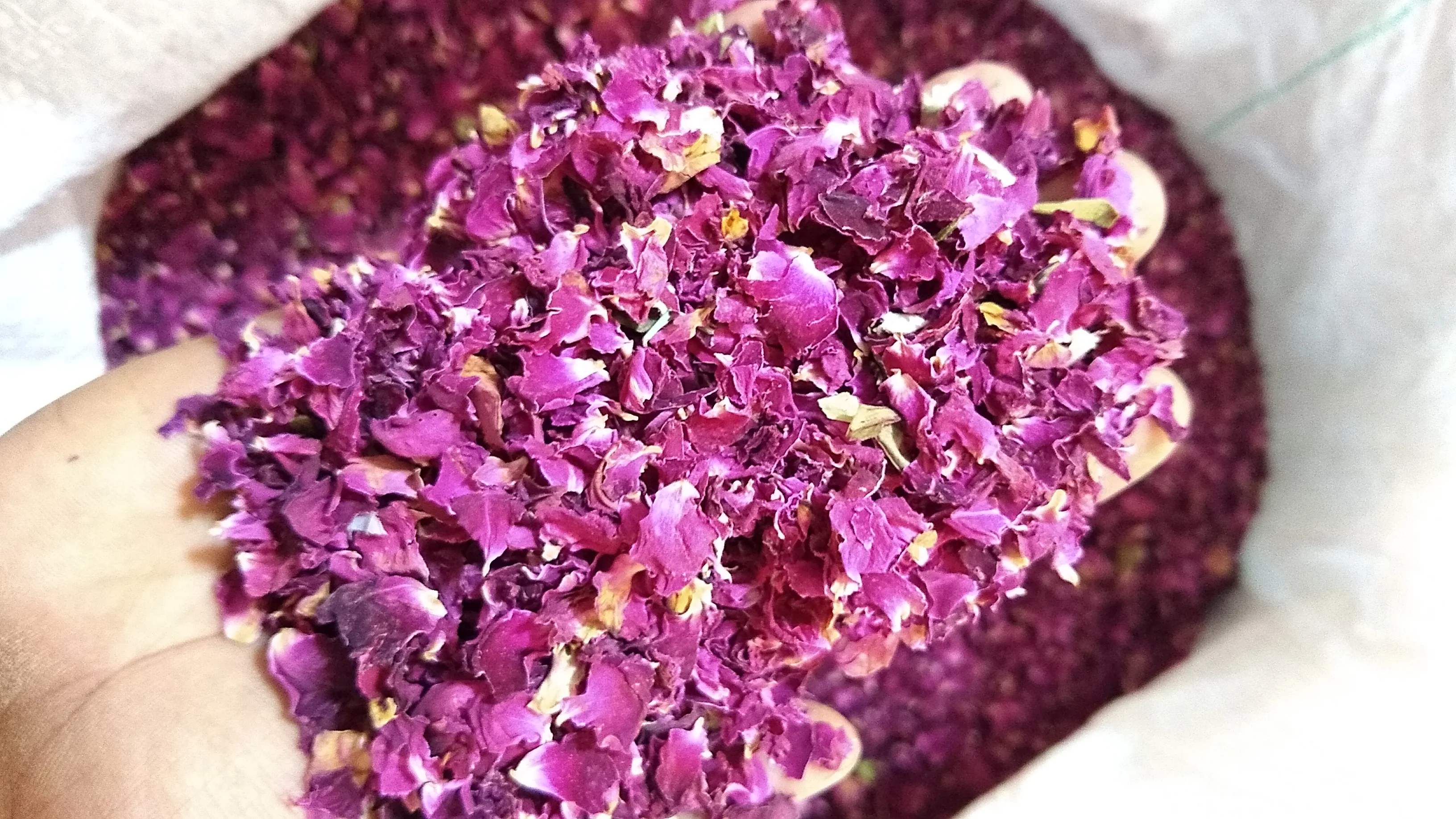 Dried Rose Petals / Pakistani Rose petals / Pure Rose petals