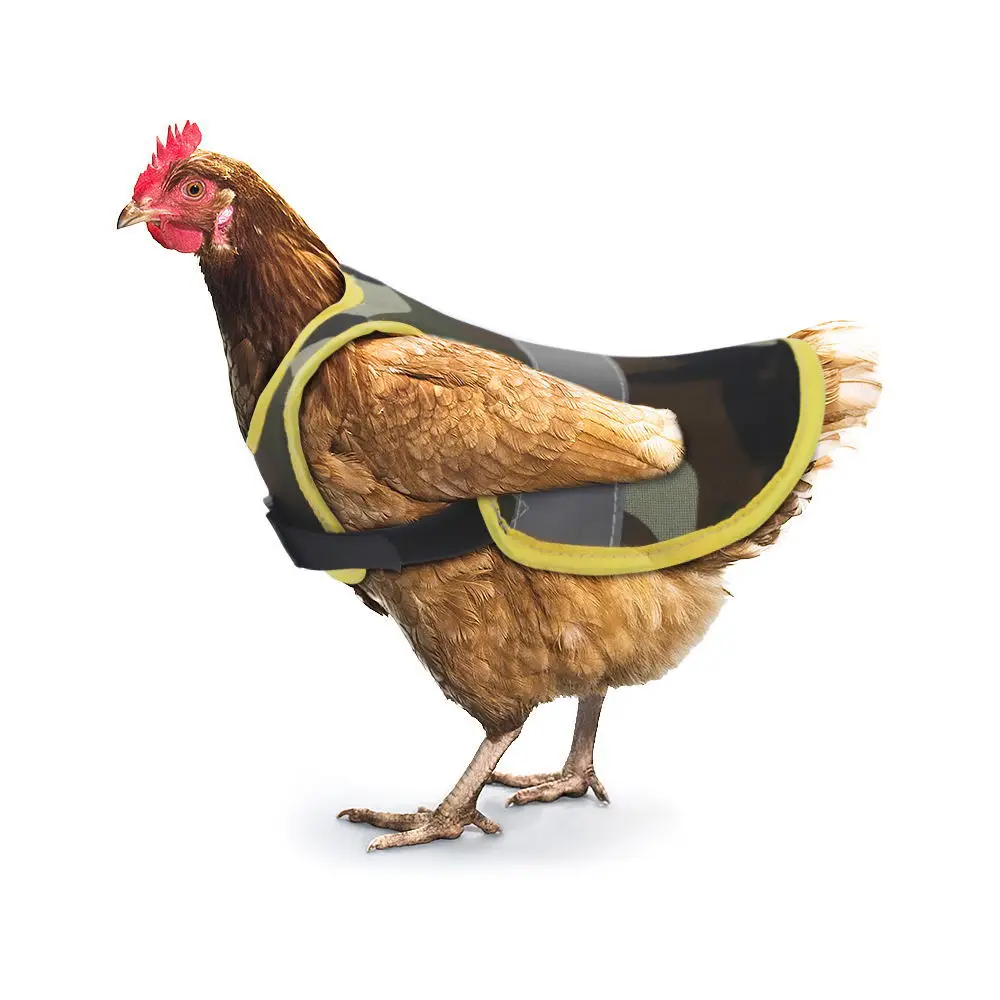 New Pet Chicken Duck Goose Chest Back Pet Clothes Reflective Safety Vest For Chicken And Duck