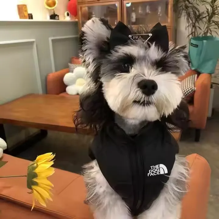 Luxury Designer Dog Jacket Waterproof Dog Coat Babies Clothes Winter Warm Pet Clothes Pet Dog Down Vest