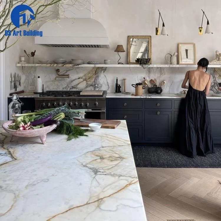 DS Customized Modern Modular Kitchen Cabinets Black Shaker Cabinet