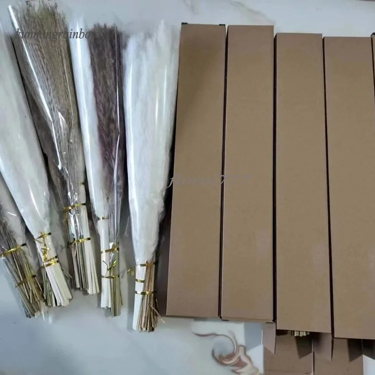 Home Wedding Decorative Bouquet Real Dried Reed Bunny Tail Pampas White Color Dried Natural Small Big Large Pampas Grass