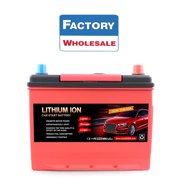 Lithium Iron Phosphate Battery 3.2v 12v 48v 60v 20ah 30ah 100ah 200ah Manufacturers Price Lithium Battery Pack Lifepo4 Battery