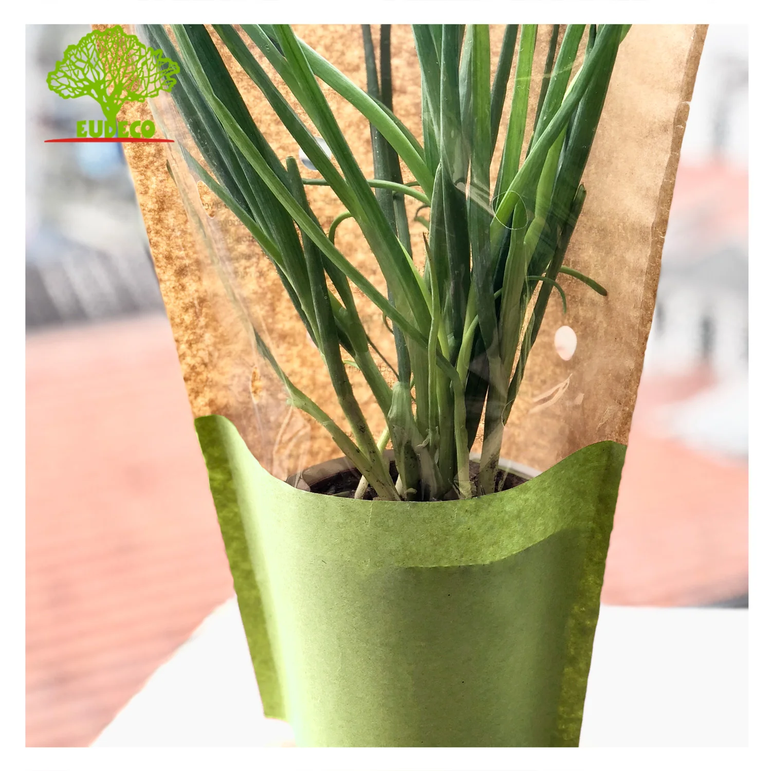 3 Pieces Vegetable Packing Biodegradable Reusable Bopp Kraft Paper Bags