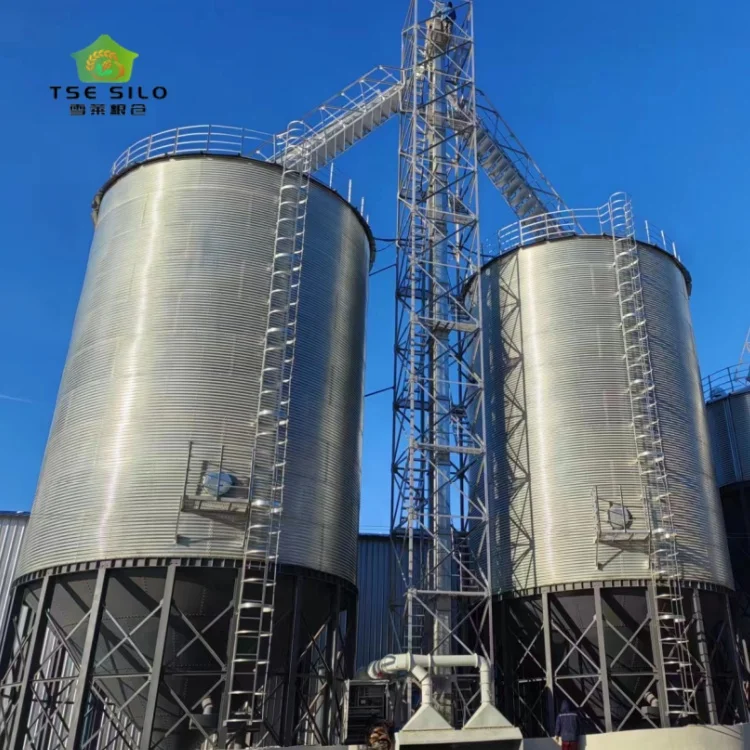Soybean wheat sorghum grain trading company hopper bottom silo