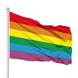 Wholesale Rainbow Banners 100% Polyester Light Flying Outdoor Indoor Lesbian LGBT Flags Gay Pansexual Progress Pride Flag