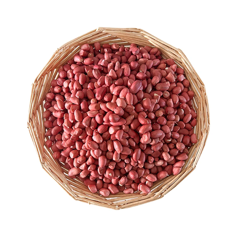 100% Pure Natural Quality Dried Organic Red Skin Peanuts Raw Peanut for Food