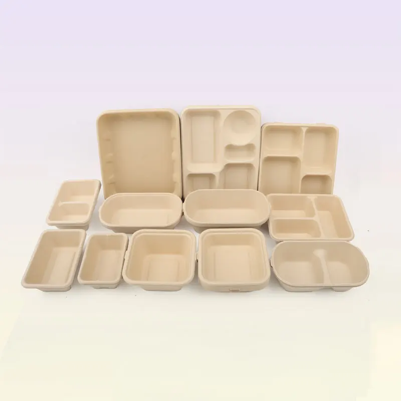 Disposable Biodegradable Fast Food Pulp Container Bagasse Bamboo Paper Lunch Box