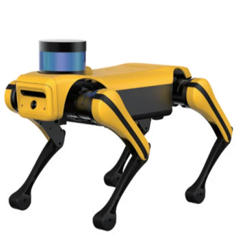 Jueying robot dog Remote Control robot dog Toys  robot KIDS TOYS with slam