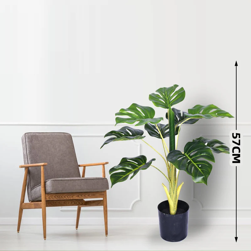 Indoor decoration of plants of different style and  height