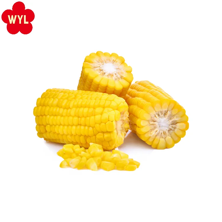 IQF Certified Frozen Vegetables Fresh Sweet Crispy Corn on the Cob in Bulk Whole and Blanched