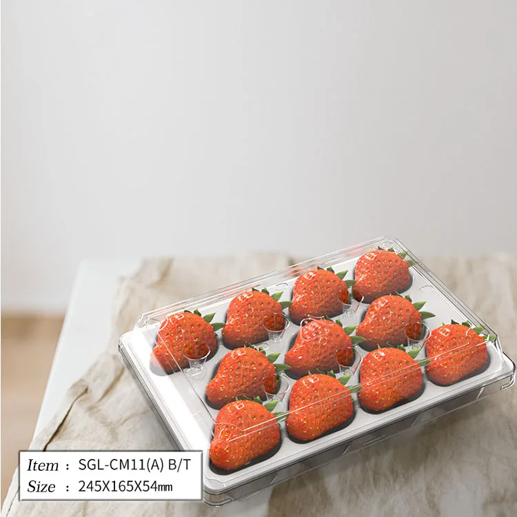 Wholesale 12pcs Insert Disposable PET Transparent Plastic Fruit Strawberry Packaging Tray