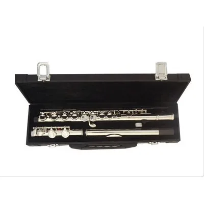 Factory Price Colored 16 Closed Holes Metal Flute C Key Copper-Nickel Recorder Flute