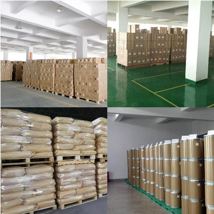 
Top Quality Sea Cucumber Extract Powder Sea Cucumber peptide powder 