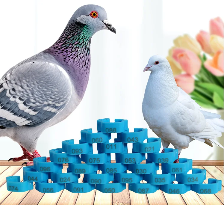Pigeon Leg Plastic Foot Clip Rings Band for Birds Chickens Tags Mixed Color pigeon foot ring