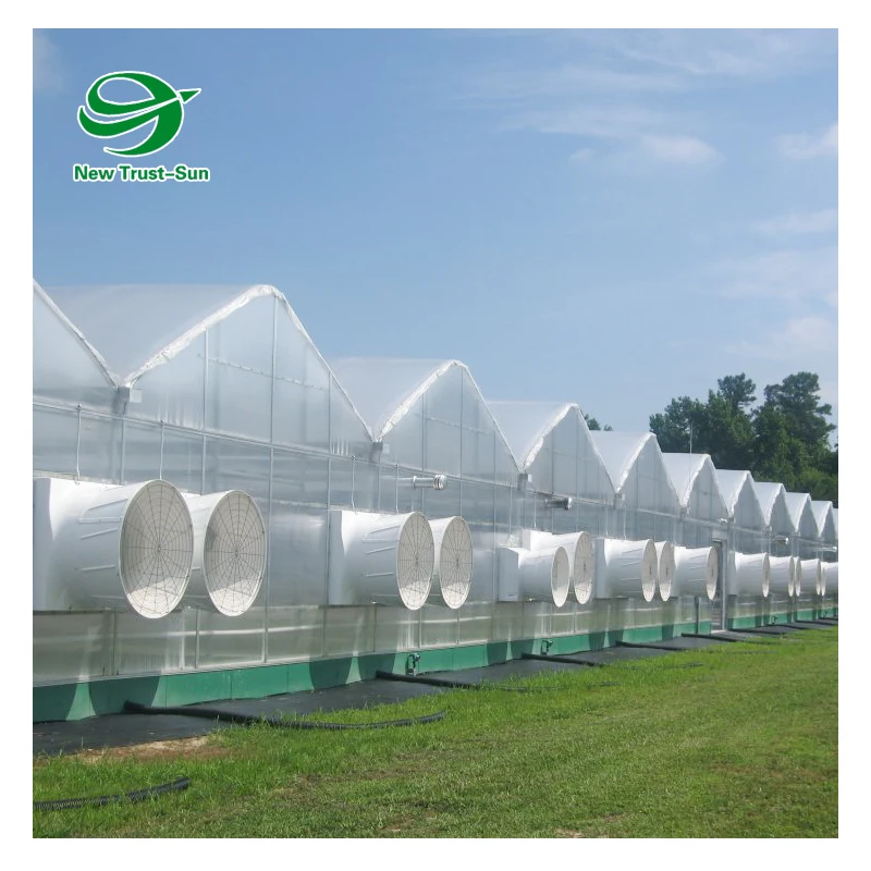 
China customized hydroponic growing systems polycarbonate sheet greenhouse for sale 