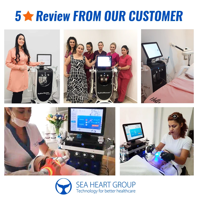 Seaheart q switch laser nd yag pico 755nm sure laser nd yag q switched  1064nm nd yag laser hair removal machine