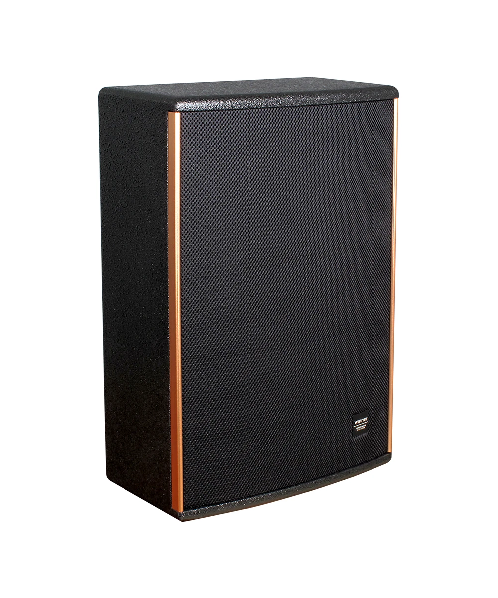 PH Series Professional Audio Stage Performance Speaker