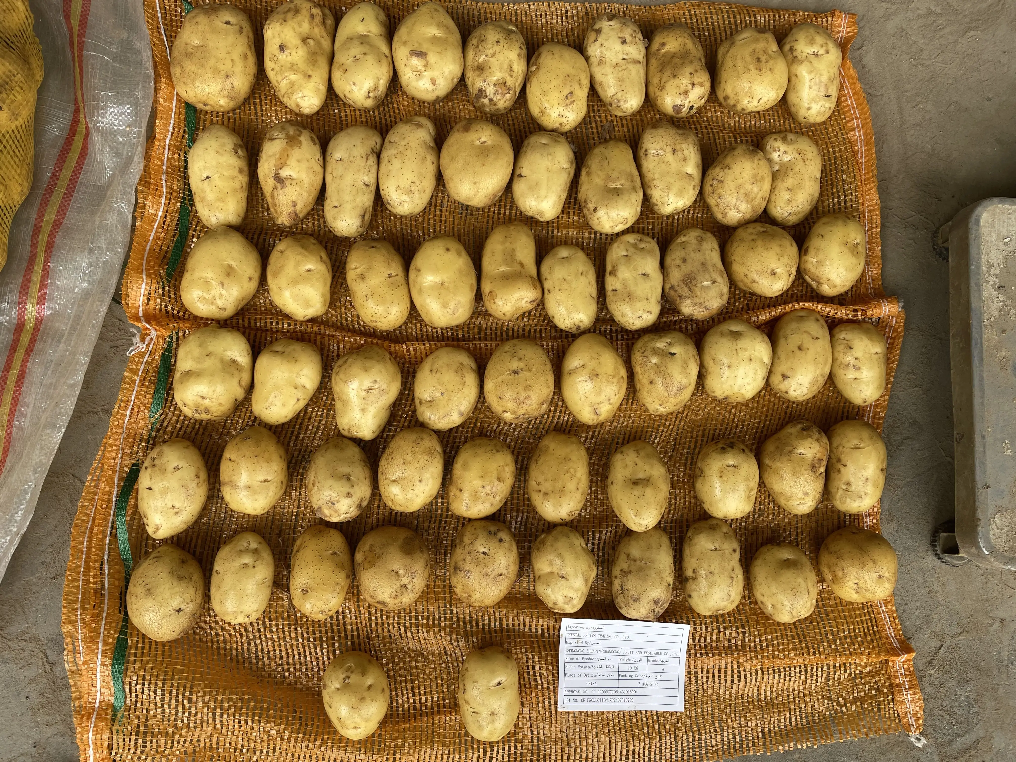 Chinese Fresh Potato Price per ton New Harvest Fresh Potato