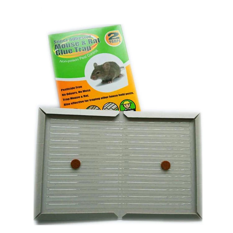wholesale mouse glue trap strong mouse traps