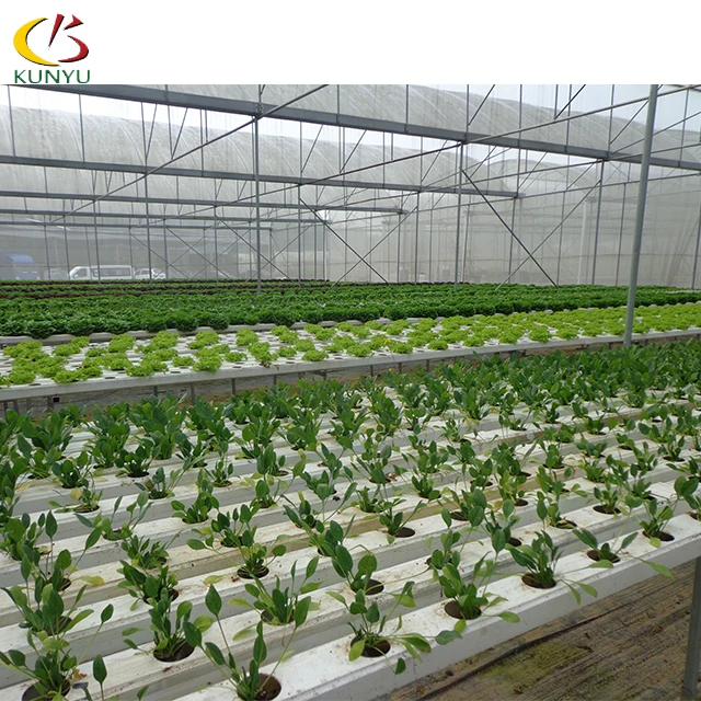 
Large sales square pvc tube for agriculture lettuce strawberry hydroponic growing system for greenhouse and indoor farming 