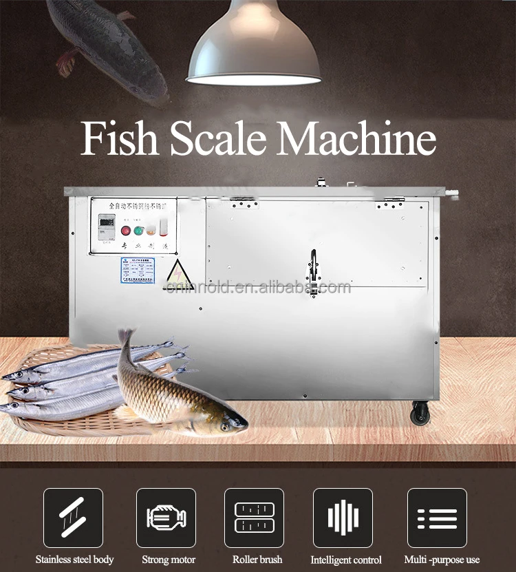 Easy Operation Commercial Remover Fish Scales Machine