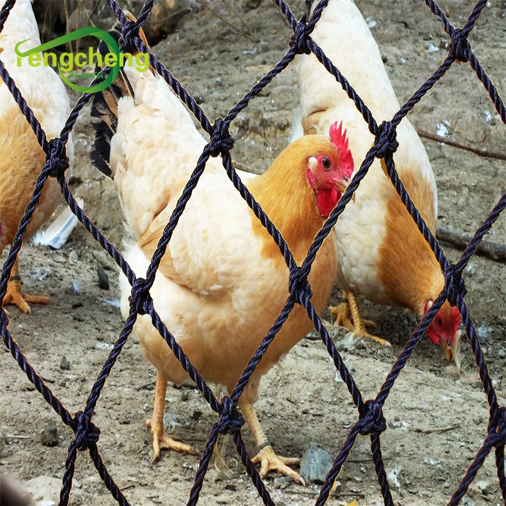 High Strength New Products Nylon Knitting Anti Bird Protection Net Bird Net