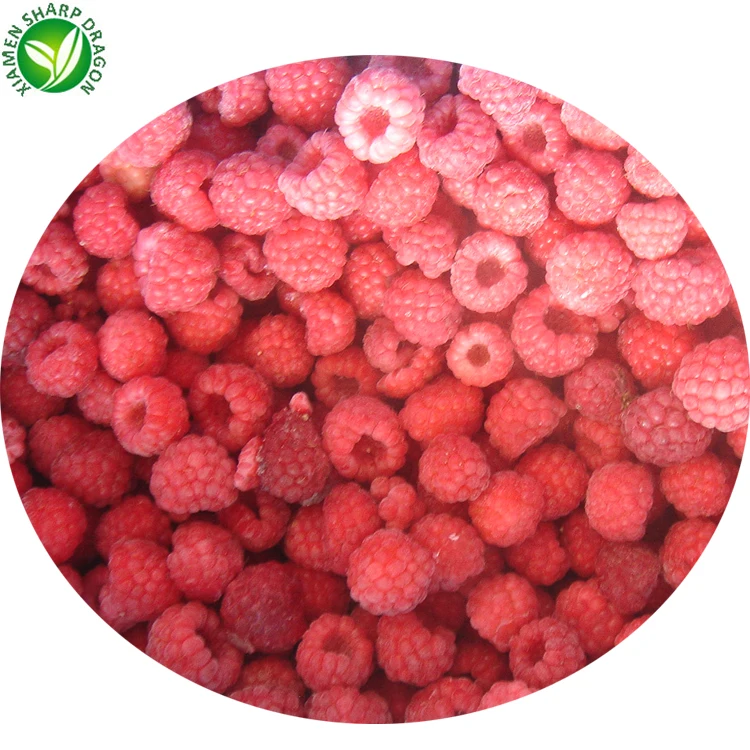 IQF Bulk price red  fruit frozen raspberries in syrup