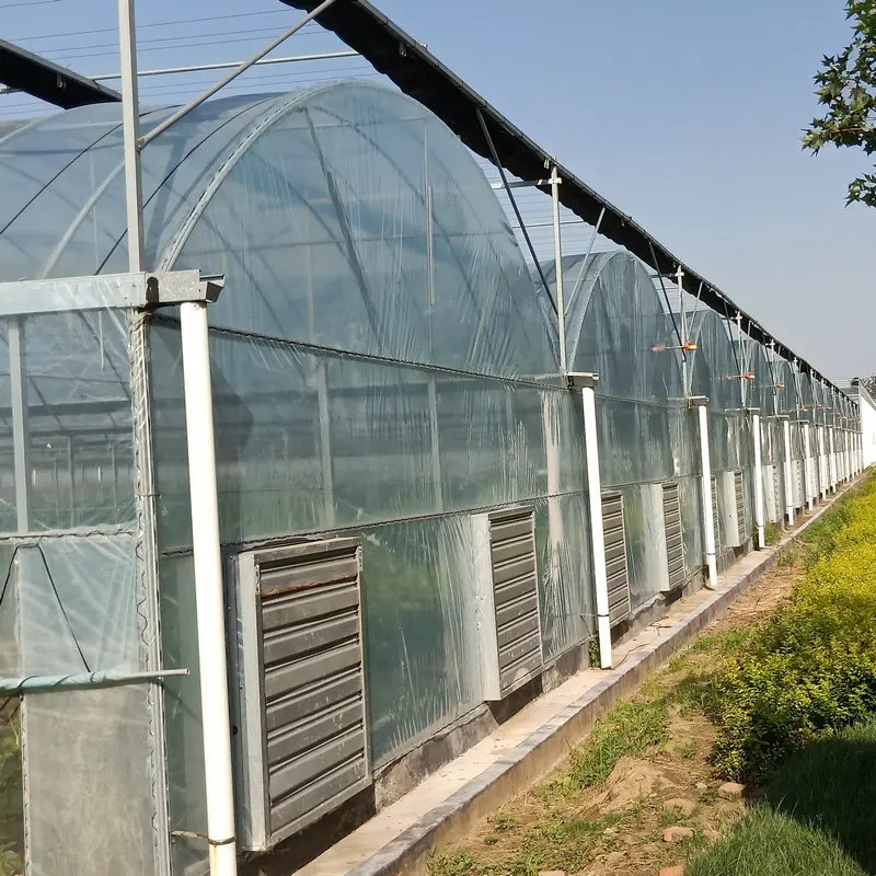 agricultural farm used greenhouse frames for sale