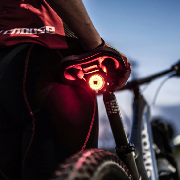 Waterproof Smart Bicycle Light Lamp USB Rechargeable Safety Warning Mountain Bike Rear Light