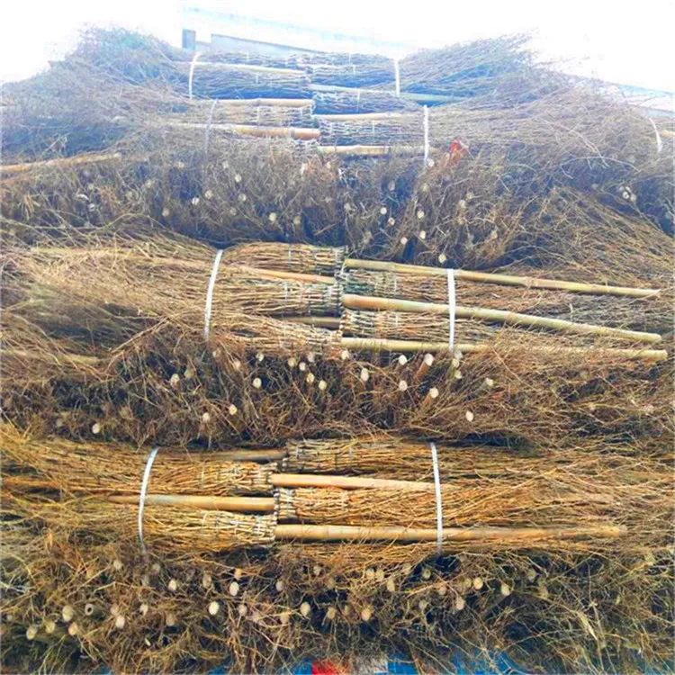 Wy-J203 bamboo broom raw material wholesale