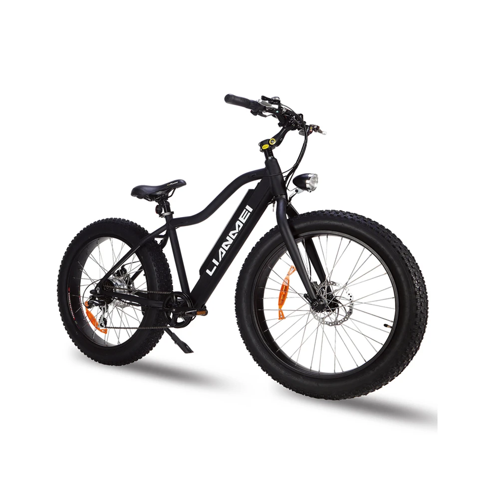 Chinese factory 350w e bicycle electric bike