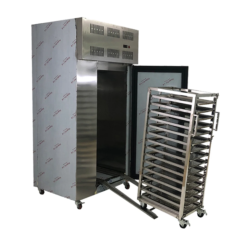 Xiamen ideal refrigerator shelfish shock spring roll industrial blast