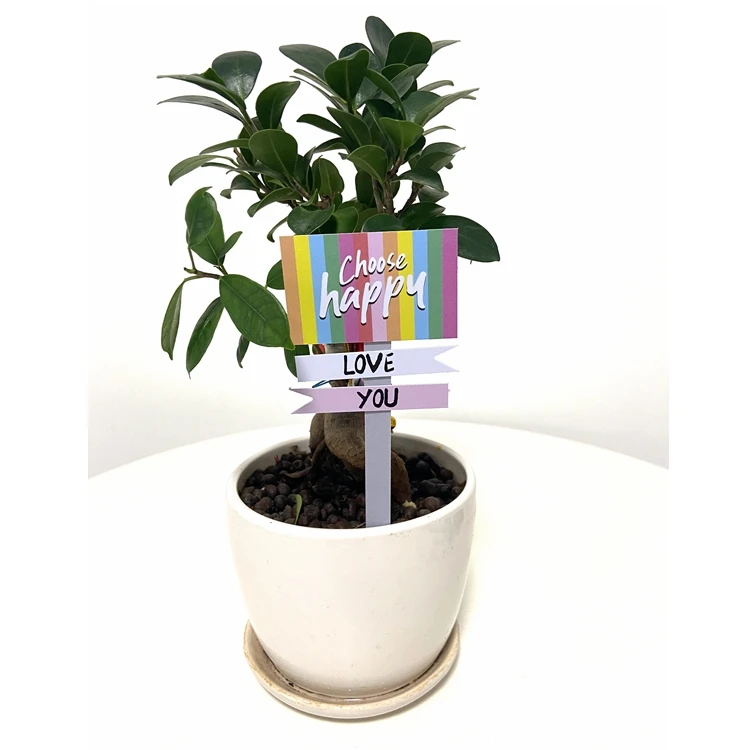  Blessing Planter Decoration Flower Pot Picks Accessories Garden Plant Sticks For anti-mold mother day decor new