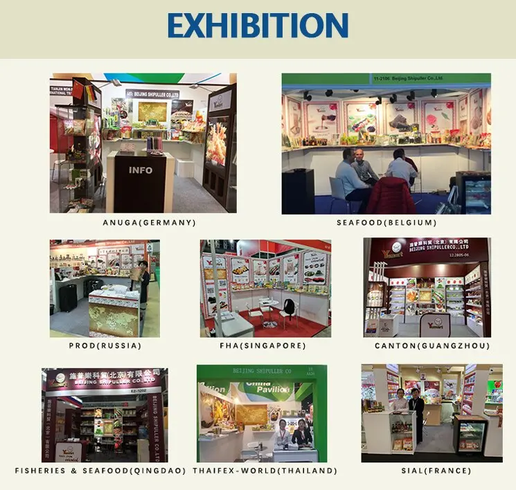 Japanese Style Fresh Panko Coating Chicken Breading Mix Supplier Crispy Bread Crumbs Baking Powder For Fried Chicken