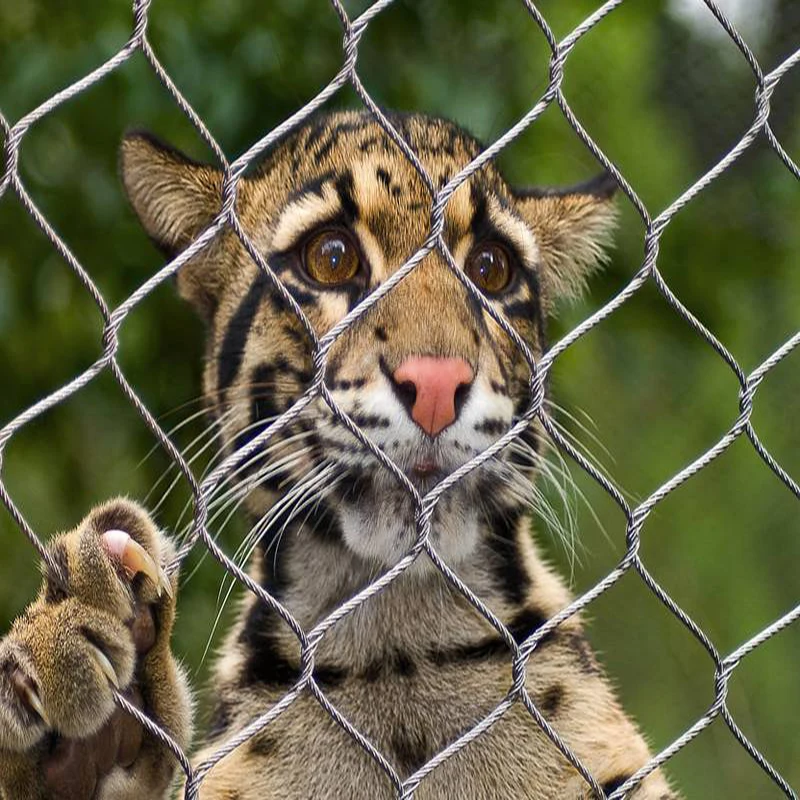 Leopard ss rope mesh enclosure fence stainless steel cable net zoological enclosures inox wire rope mesh