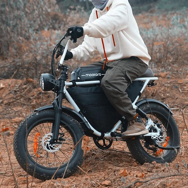 Motorcycle Electric Moped