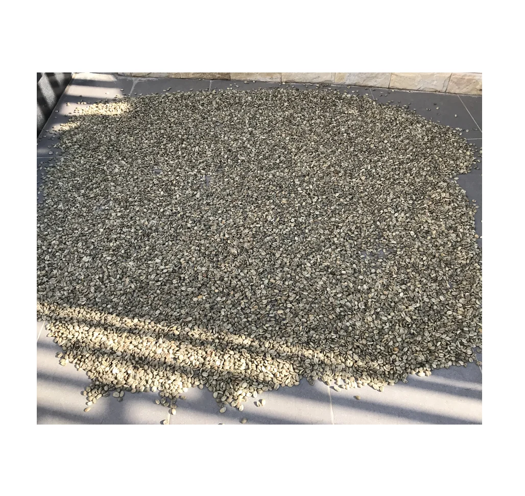 High Quality Arabica Robusta Green Coffee Bean From Vietnam