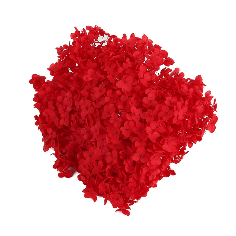 DIY Material Immortal Preserved Fresh Anna hydrangea Flower the Colorful Forever Lasting hydrangea With branches